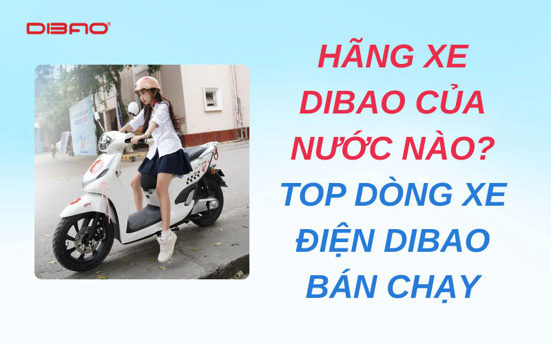 Hãng xe Dibao của nước nào? Các dòng xe điện Dibao bán chạy nhất